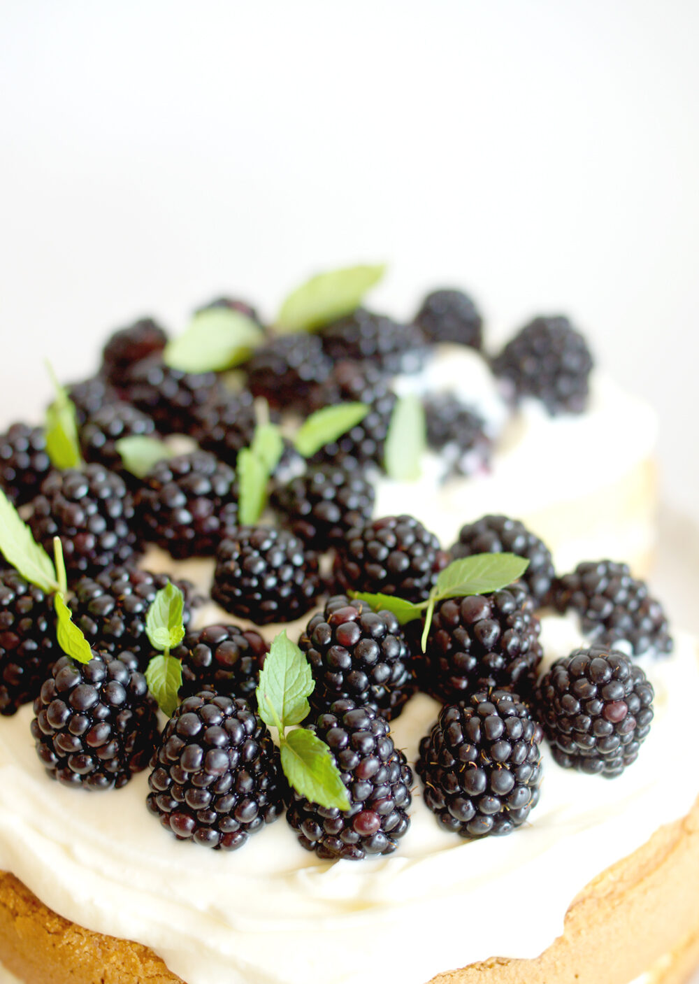 Brombeer-Limetten Torte