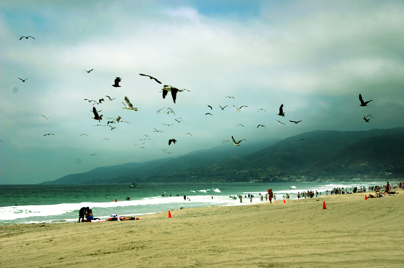 California Malibu Beach