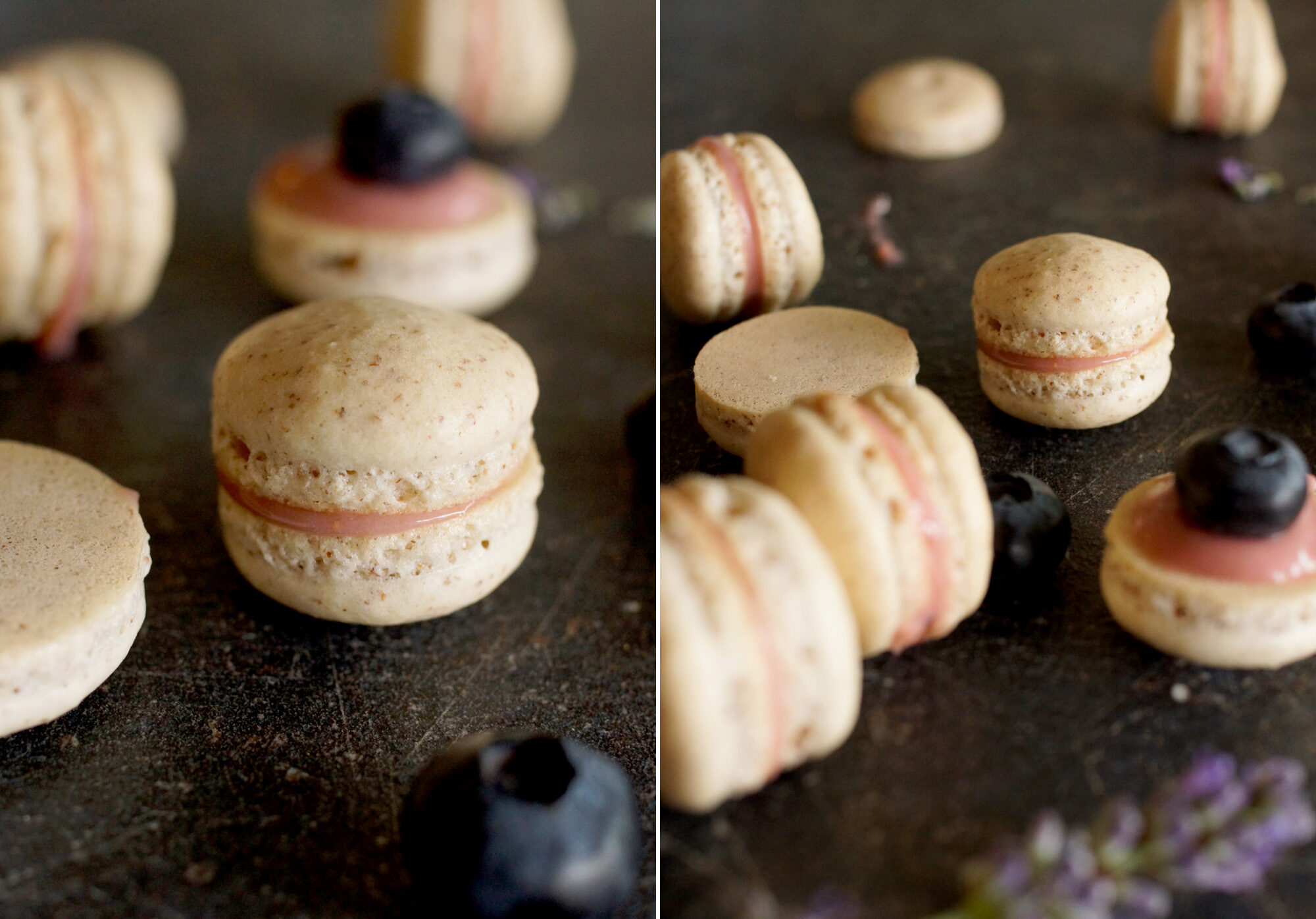 Heidelbeer Macarons