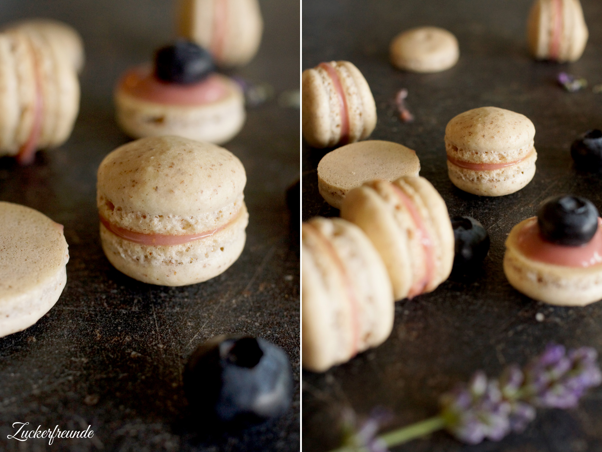 Heidelbeer Macarons
