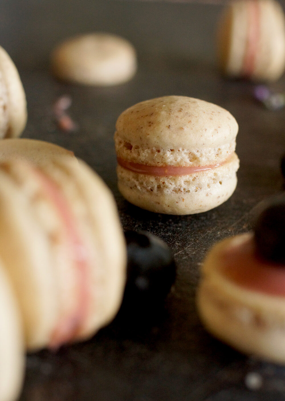 Macarons backen mit Heidelbeer Füllung