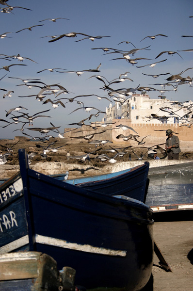 Morroco Essaouira