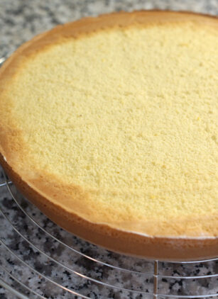 Boden backen
