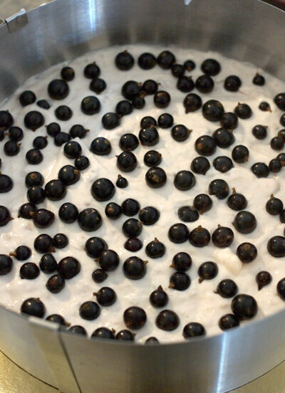 Johannisbeer Joghurt Torte füllen