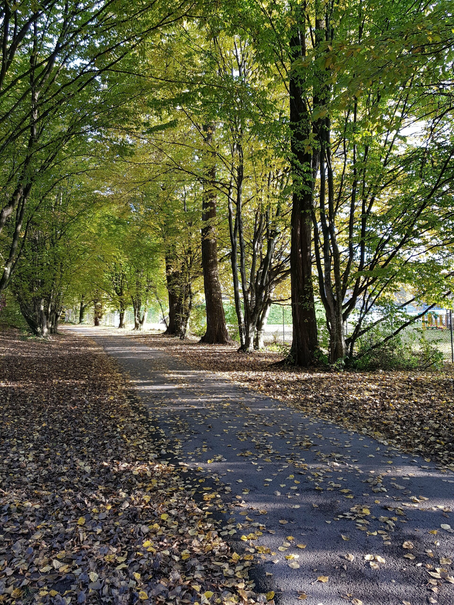 Spaziergang im Herbst