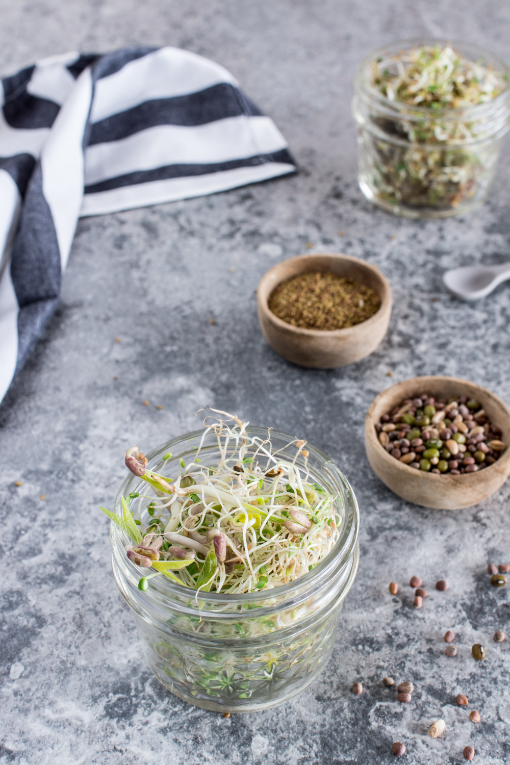 Mikrogrün - Sprossen keimen | #microgreens #sprossen