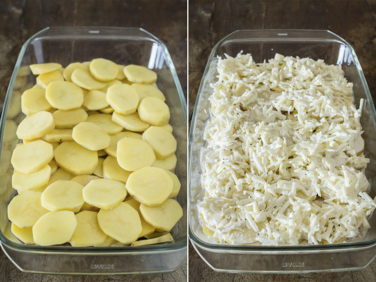 Kartoffelgratin mit Pecorino: Kartoffeln schichten, dann mit Käse-Sahne-Mischung übergießen