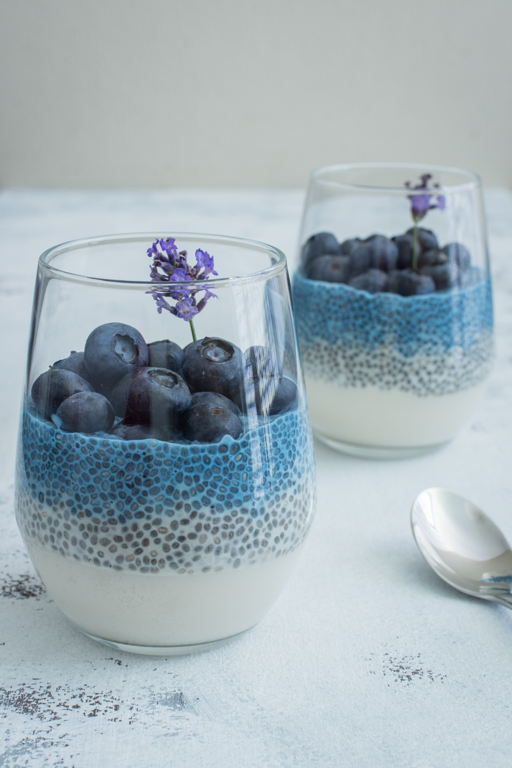 Chiapudding with blueberries