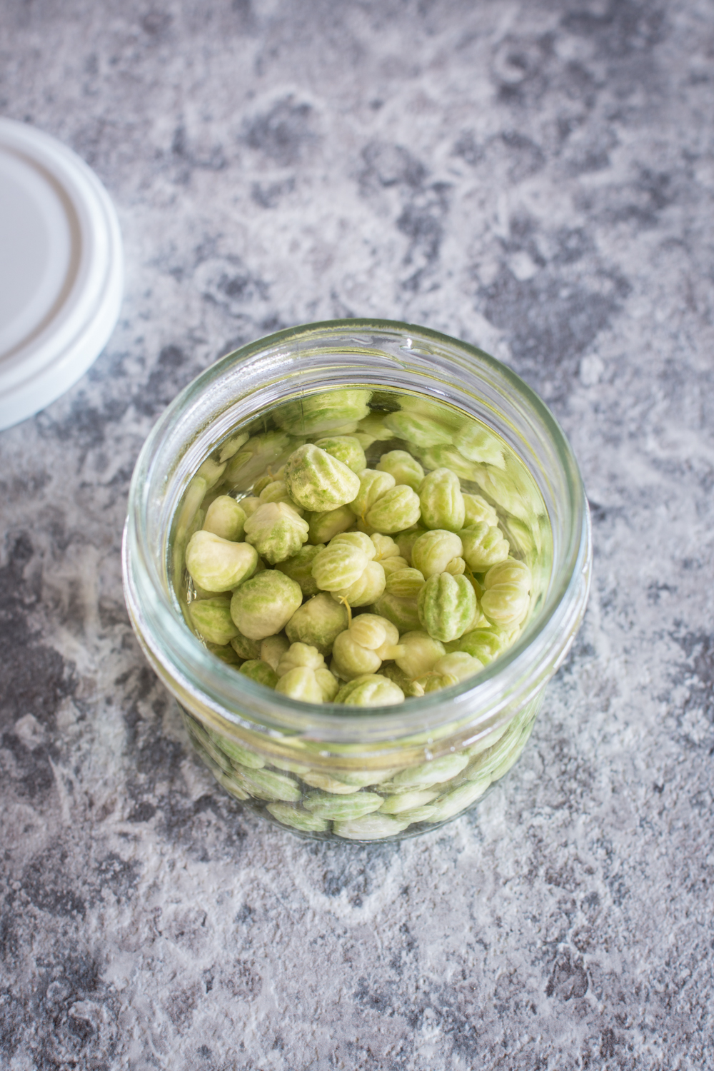 Kapuzinerkresse: Samen einlegen | Kapuzinerkresse Rezepte