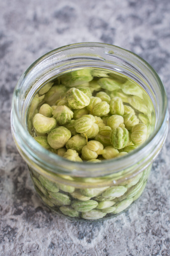 Kapuzinerkresse verarbeiten Rezeptideen Samen einlegen, Pesto und