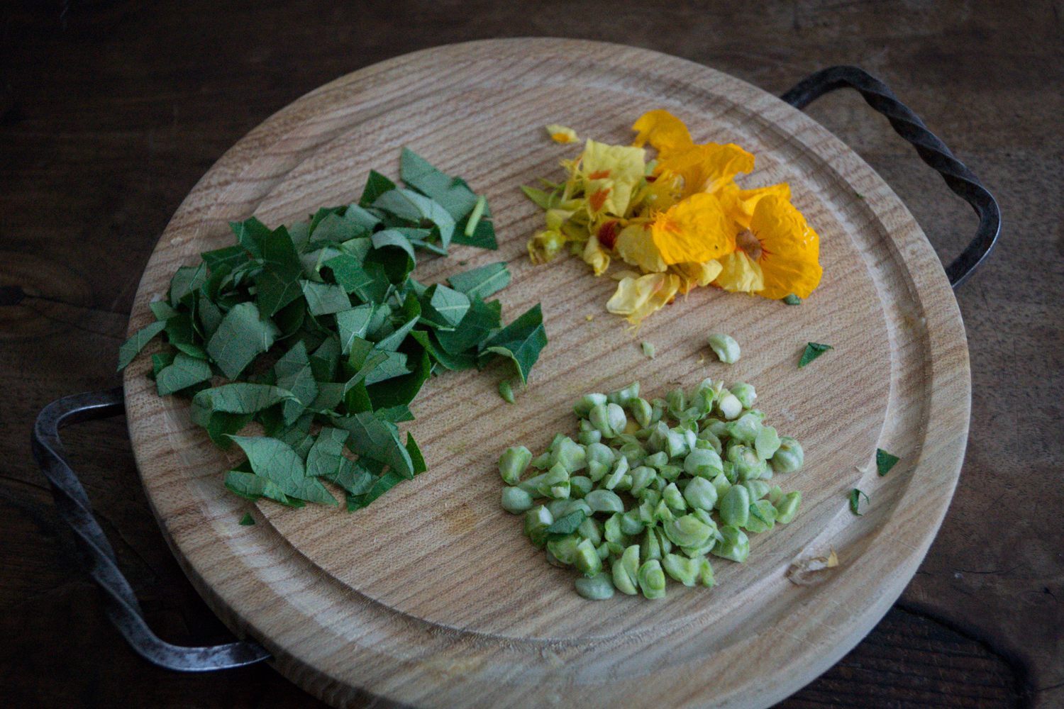 Essbare Kapuzinerkresse: Einfaches Pesto, leckeres Rezept! #kapuzinerkresse