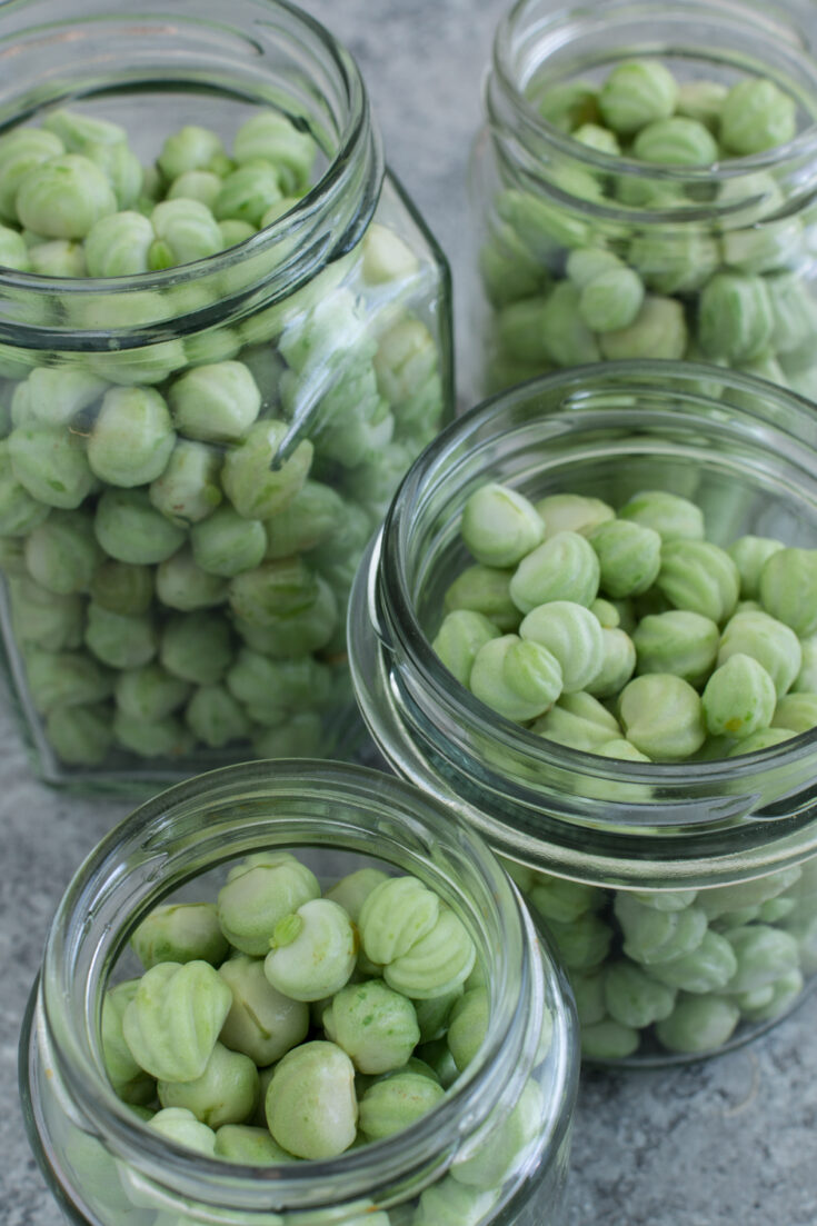 Kapuzinerkresse verarbeiten | Rezeptideen rund um die Kapuzinerkresse - Samen einlegen