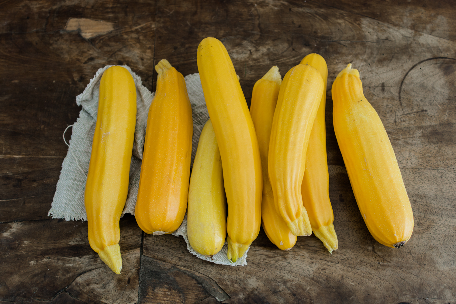 Gelbe Zucchini aus Eigenbau