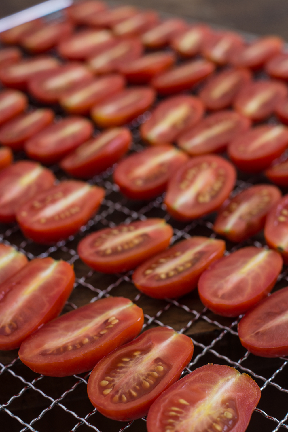 Kleine Datteltomaten und Cocktailtomaten dörren | Trocknen im Dörrautomaten