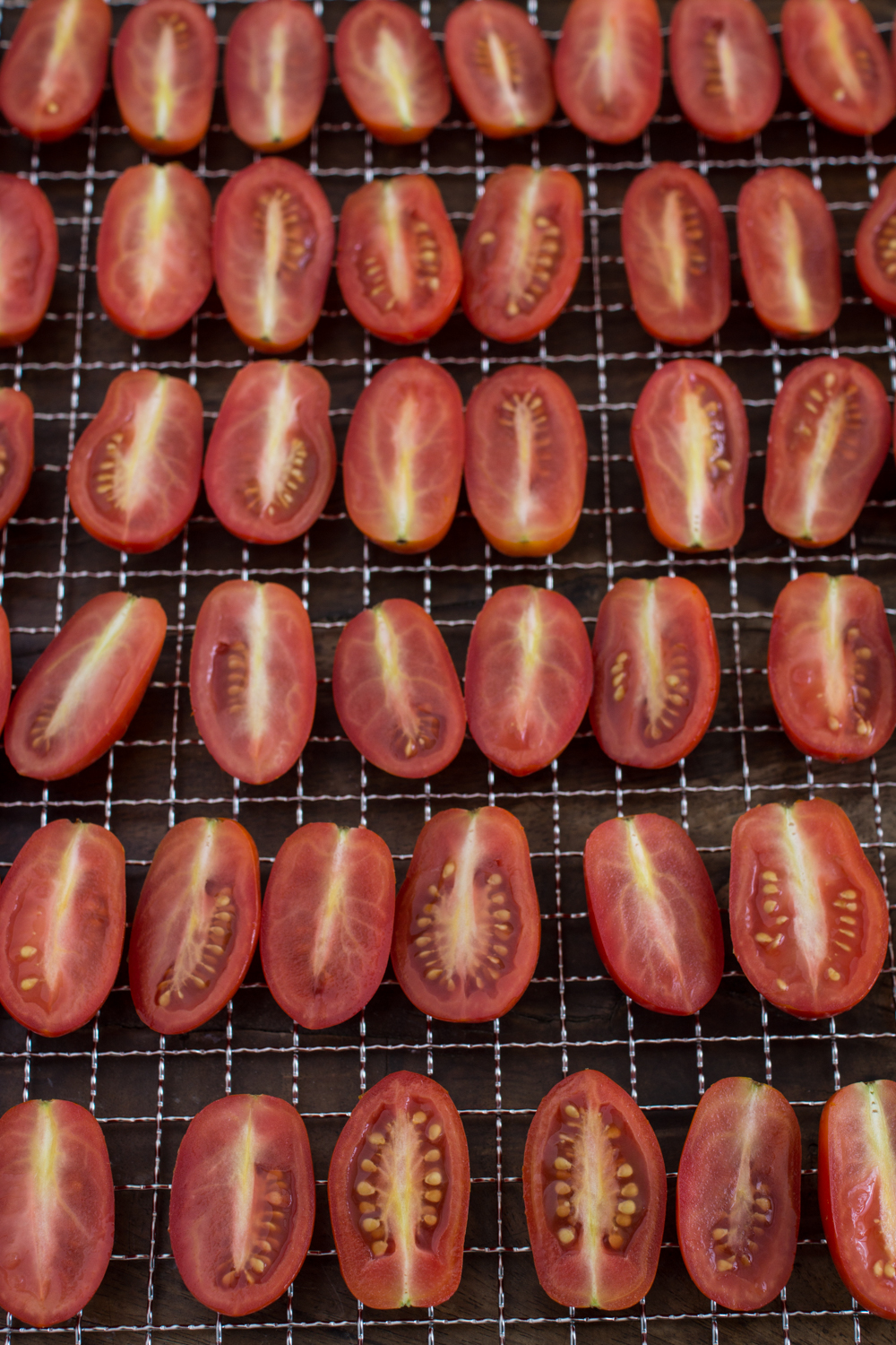 Cocktailtomaten und Datteltomaten dörren