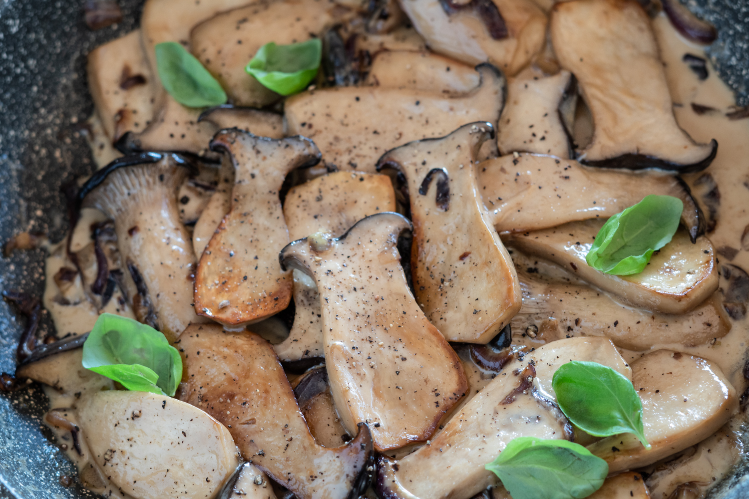 Cremie Kräuterseitlinge in der Pfanne
