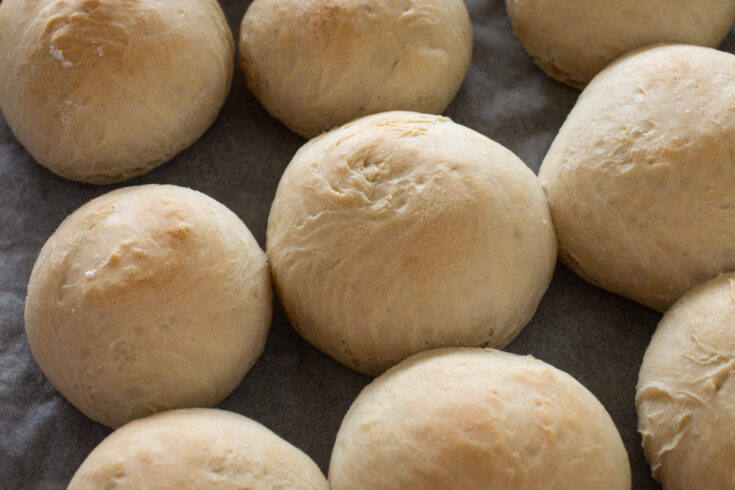 Weiche Olivenöl-Brötchen