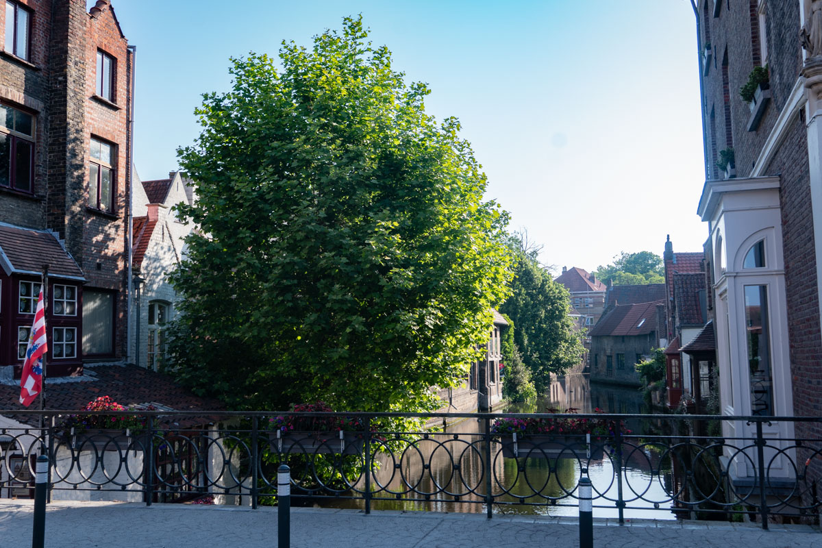 Aussicht von der Mariabrug | Katelijnestraat