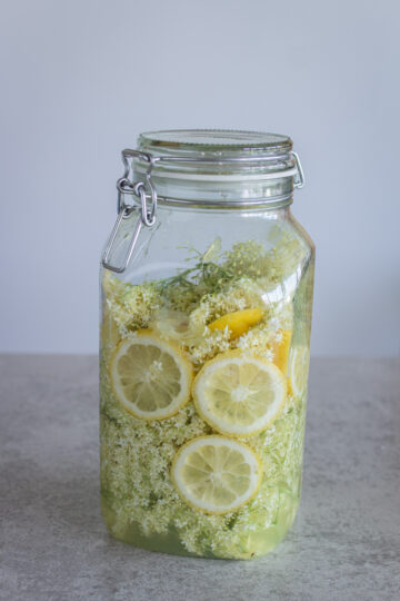 Holunderblüten-Gelee zubereiten - LieberBacken Holunderblüten-Gelee zubereiten - LieberBacken